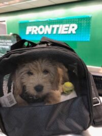 Aspen arrives in Denver