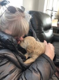 Dore & Aspen February 2019