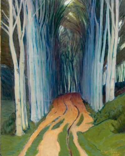 A road into the woods