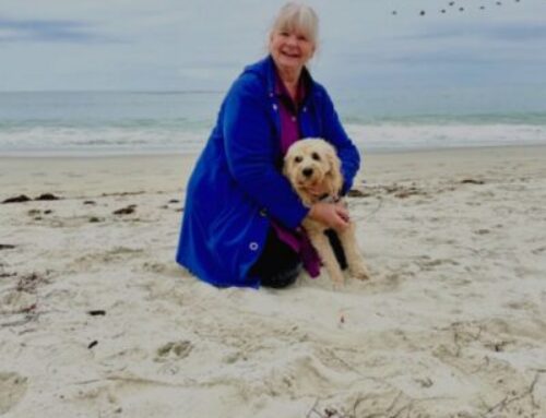 A Reflection on Aspen, My Beloved Dog and Soul Companion