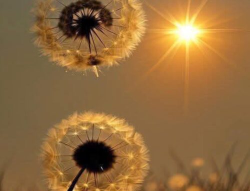 The Girl Left Behind – Childhood Trauma Survivor – Series