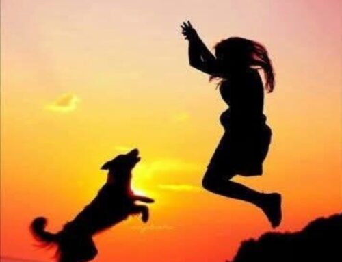 Finding Joy in Simple Things: A Mindful Path to Everyday Happiness