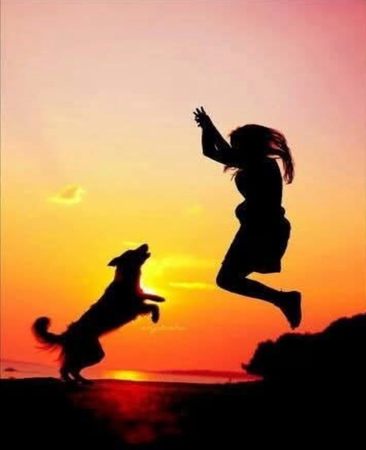 Happy girl and happy dog