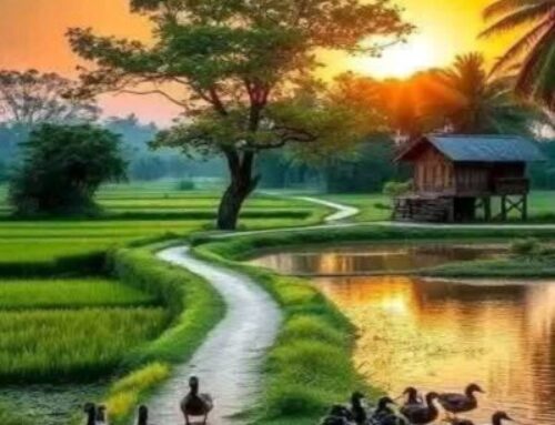 Whispers To The Soul –The Simplicity of Being True – Series