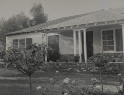 The Girl Left Behind – Before I Knew to Be Afraid